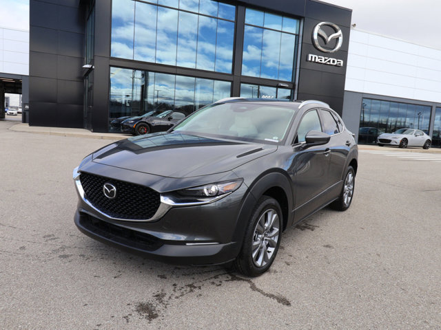 2025 Mazda Mazda CX-30 2.5 S Premium AWD